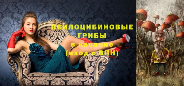apvp Нефтекумск