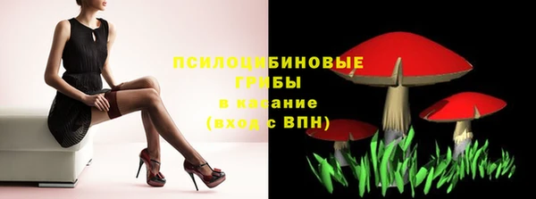 гашик Нефтегорск