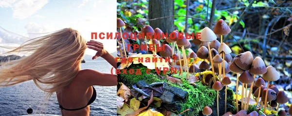 хмурый Балабаново