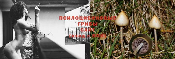 прущая мука Балахна