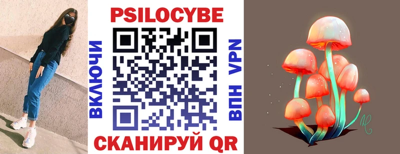 blacksprut ONION  Белоусово  Псилоцибиновые грибы Psilocybe 